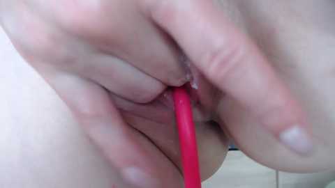 single_fox_4u free recording from 2025-08-07 13:38:00