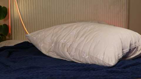 yournaughtymiss free recording from 2025-08-07 01:45:00