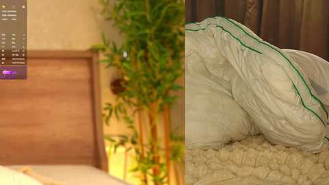 pafosstar free recording from 