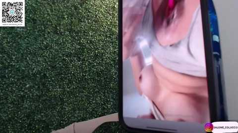 pavlovacoluccii_ free recording from 2025-08-08 19:04:00