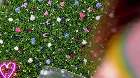 babyaylin free recording from 2025-08-09 15:48:00