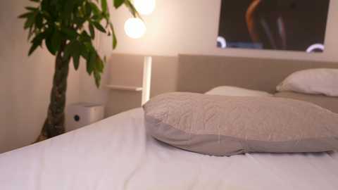 dovia free recording from 2025-08-10 13:19:00