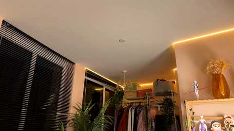 vixenp free recording from 