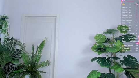 sweet__piece free recording from 2025-08-11 14:35:00