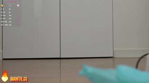 _taylor_swift free recording from 2025-08-12 09:55:00