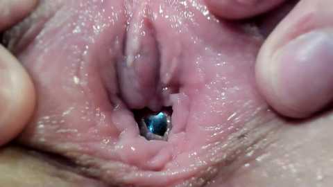 courtney_luv free recording from 