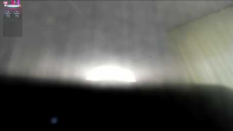 flooora_0 free recording from 2025-08-12 04:41:00