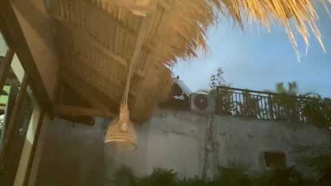 goddessdove free recording from 2025-08-12 10:34:00