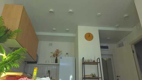 lili__roze_ free recording from 