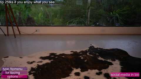 loollypop24 free recording from 2025-08-12 20:16:00