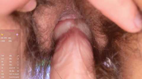 luneva free recording from 2025-08-12 02:40:00