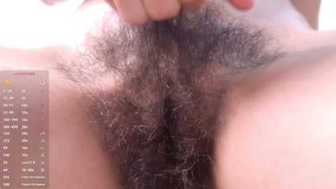 luneva free recording from 