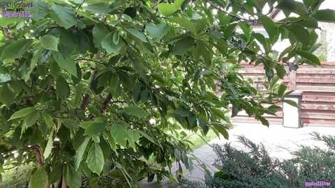 patry333 free recording from 