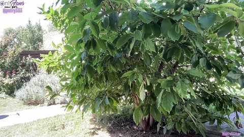 patry333 free recording from 2025-08-14 08:49:00