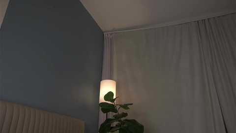 shickshackshock free recording from 2025-08-14 18:38:00