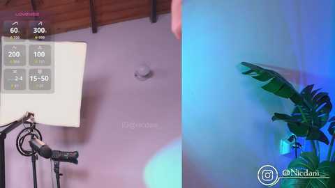 nicdani_1 free recording from 2025-08-15 03:21:00