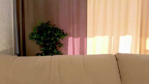 sharrimalagisi free recording from 2025-08-15 10:47:00