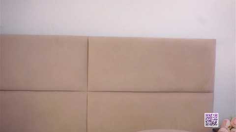 vivid_girls free recording from 2025-08-15 13:11:00