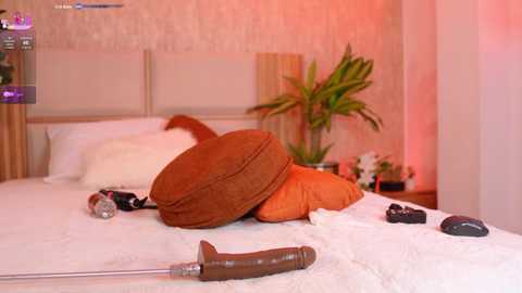 ana_maria11 free recording from 2025-08-16 08:44:00