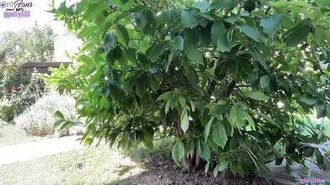 patry333 free recording from 