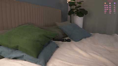 shickshackshock free recording from 2025-08-16 17:27:00