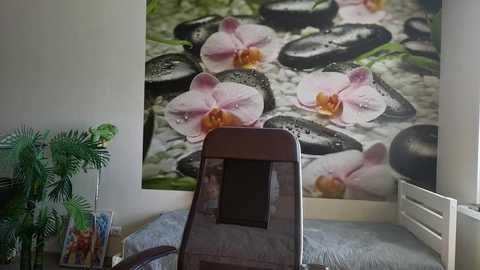 jennycutey free recording from 2025-08-17 06:05:00