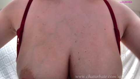 sellapink free recording from 