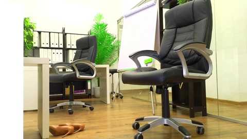 babesgowild free recording from 2025-08-18 07:36:00