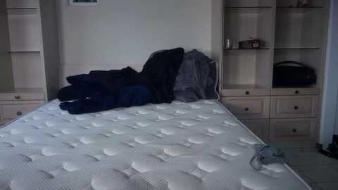 stellapearl free recording from 2025-08-18 03:19:00