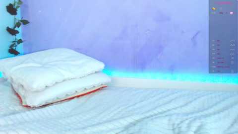 superbdolls free recording from 2025-08-18 09:00:00