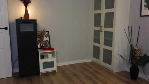 sureprise free recording from 2025-08-18 21:48:00