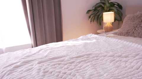 alissa_wxw free recording from 2025-08-19 12:12:00