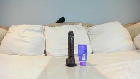 eatmygingersnapps free recording from 2025-08-19 17:12:00