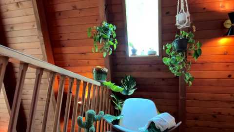 emersoncane free recording from 2025-08-19 17:36:00