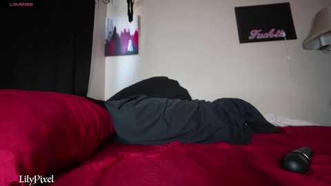 lilypixel free recording from 