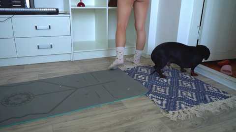 my_mia_ free recording from 2025-08-19 13:00:00