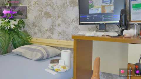 yourburnwish free recording from 2025-08-19 03:41:00