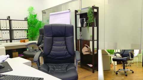 babesgowild free recording from 2025-08-20 07:27:00