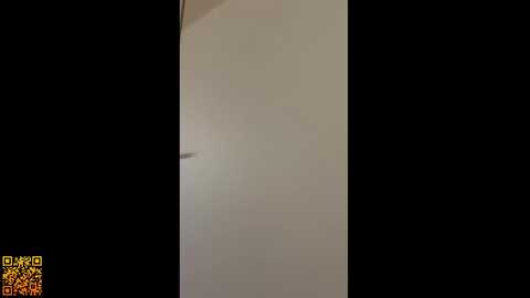 butteflai free recording from 2025-08-20 13:41:00