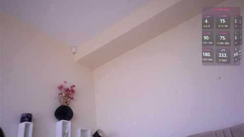 cielomio free recording from 2025-08-20 12:33:00