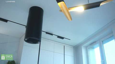 hecola free recording from 2025-08-20 12:05:00