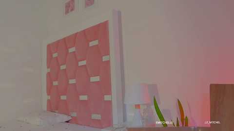 nicolle_mitchelle free recording from 2025-08-20 13:57:00