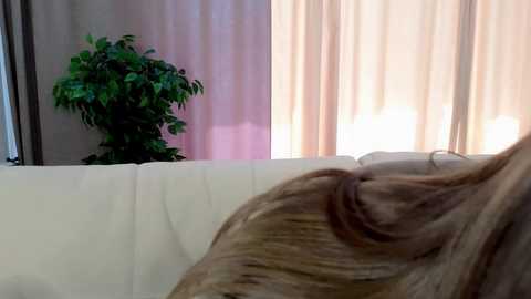 sharrimalagisi free recording from 2025-08-20 10:10:00