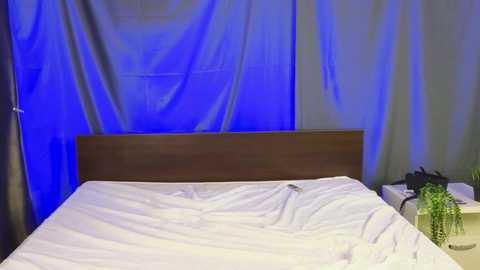 lucidangelok free recording from 2025-08-21 18:36:00