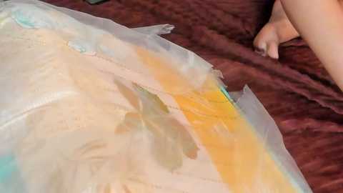 paranoidtemptaion_ free recording from 2025-08-21 11:13:00