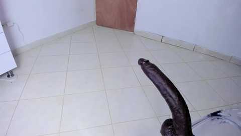 sabrina_geek free recording from 2025-08-21 06:48:00