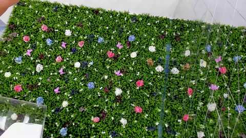 babyaylin free recording from 