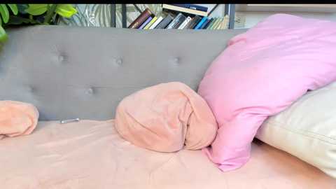 goofyshygirl1 free recording from 2025-08-22 03:10:00