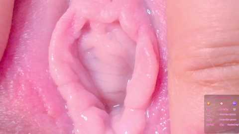 horny_moly free recording from 