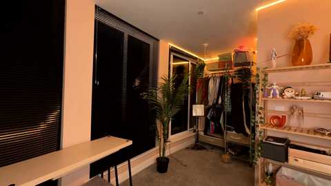 vixenp free recording from 